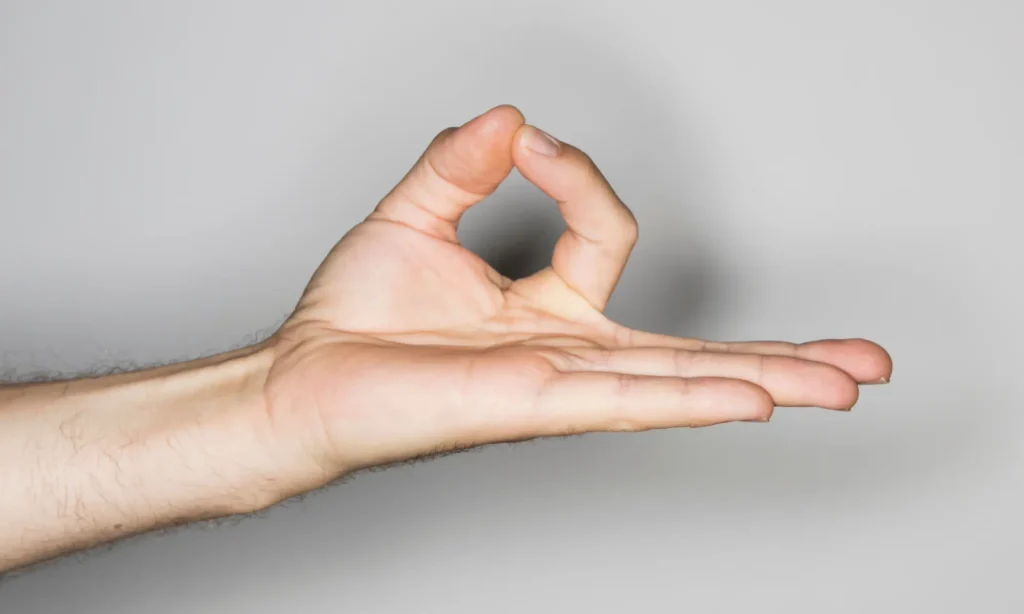 Gyan Mudra (2)