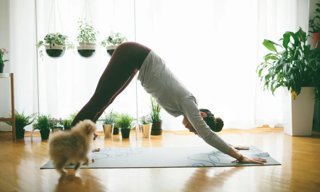 pratiquer le yoga avec des chiots