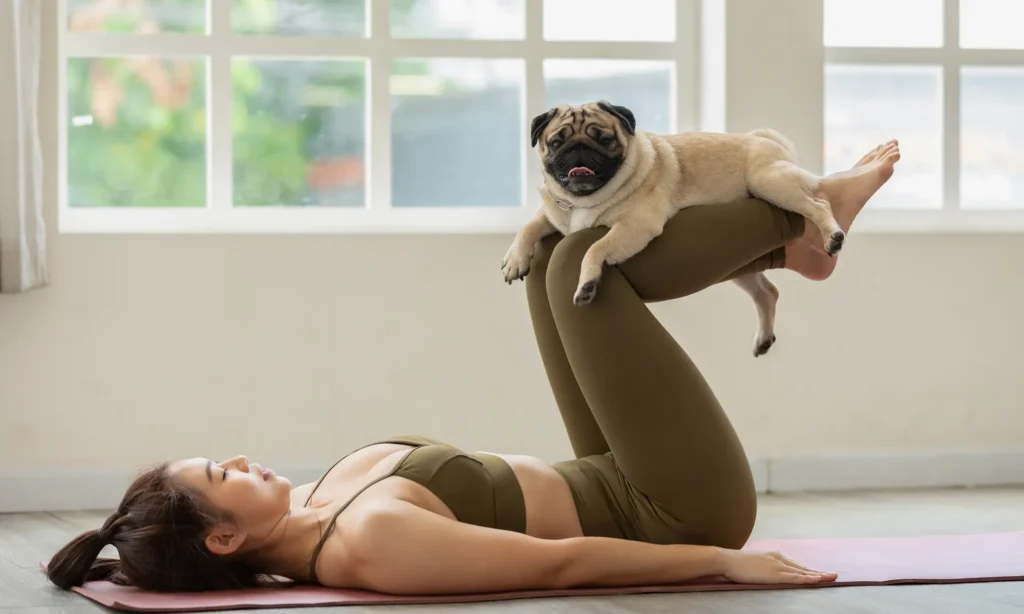 yoga avec des chiots (2)