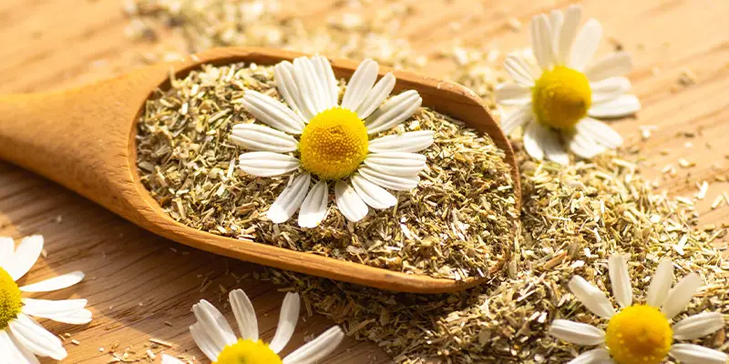 Quelles méthodes naturelles aident à mieux se relaxer