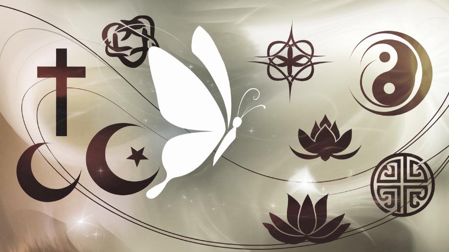 Le papillon blanc est il un message des anges ou de l’univers