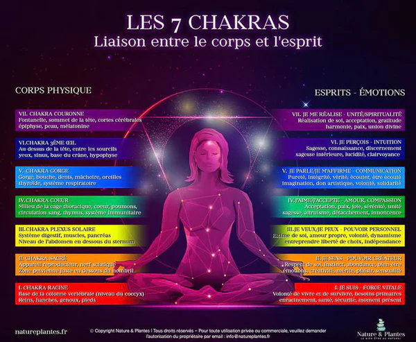 Quelle est la place du chakra du cœur dans l’équilibre des sept chakras