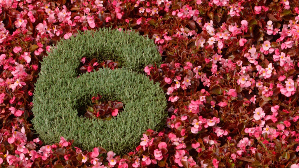 Quelle est la symbolique générale du chiffre 6 en spiritualité