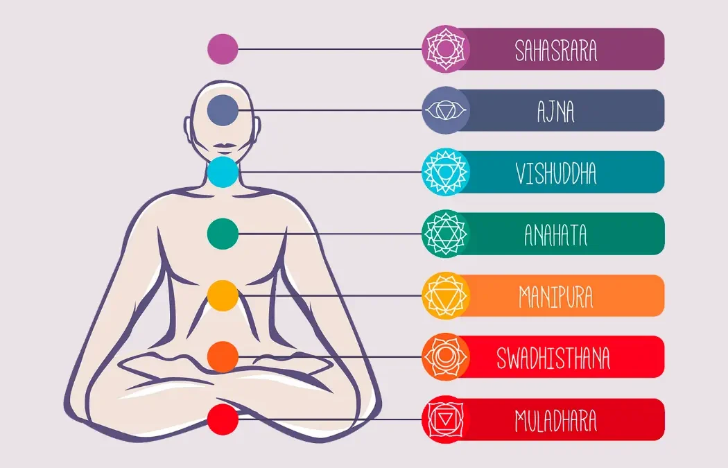 Quelle est la signification des 7 chakras et leur rôle dans notre équilibre ?