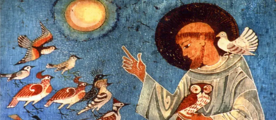 Comment définir simplement le langage des oiseaux en spiritualité 1