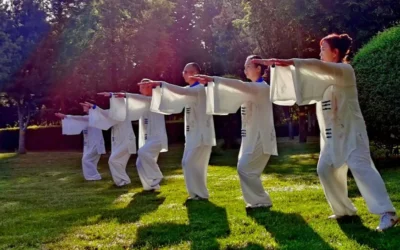 Quelle formation choisir pour apprendre le qi gong ?