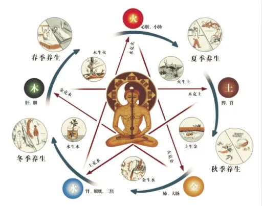 Quel rôle jouent les éléments dans l’équilibre émotionnel et spirituel