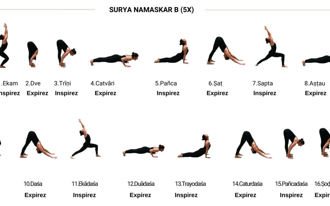 Quelles sont les 12 postures de la salutation au soleil ?