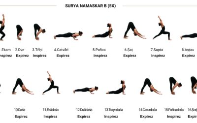 Quelles sont les 12 postures de la salutation au soleil ?