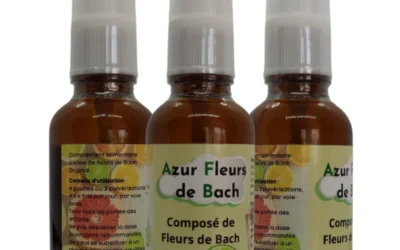 Azur Fleur de Bach Coupe Faim est-il vraiment efficace pour réduire l’appétit ?