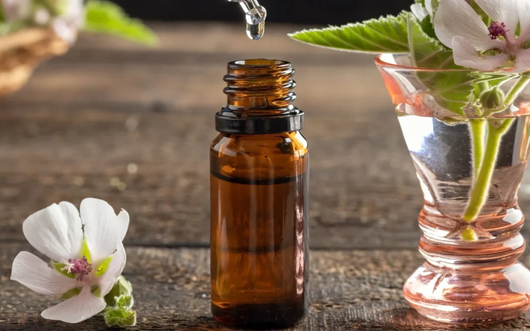 Azur Fleur de Bach est-il fiable et que valent vraiment les avis sur ce site ?