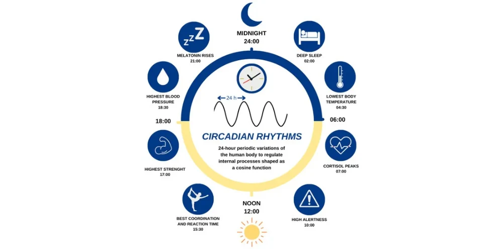 Quelle est la bonne fréquence pour bien dormir ?